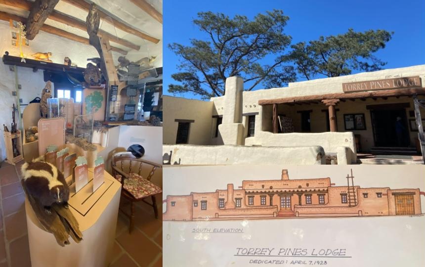 Torrey Pines Lodge in Torrey Pines Natural Reserve