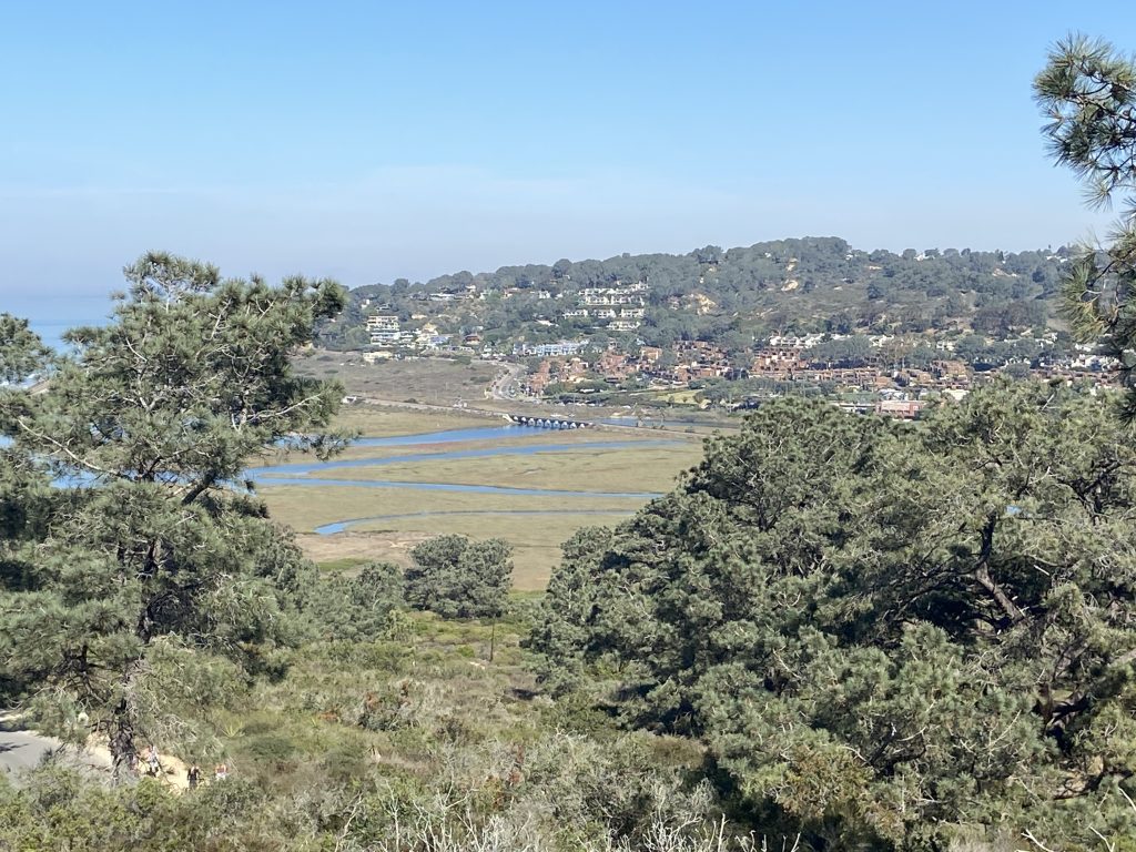 Los Penasquitos Lagoon in Torrey Pines Natural Reserve