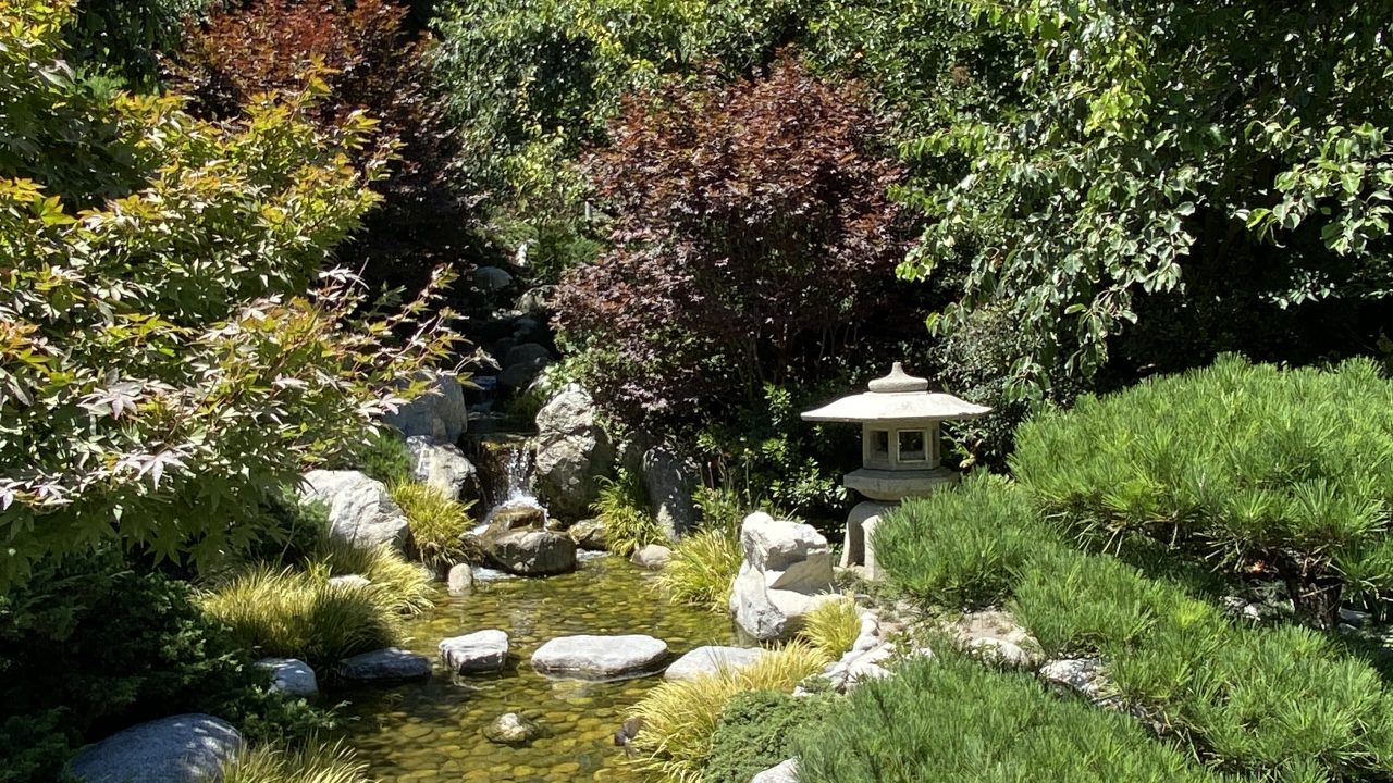 Japanese Friendship Garden